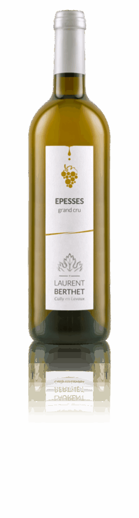 Laurent Berthet est vigneron encaveur en Lavaux et créé des vins avec passion en production intégrée.