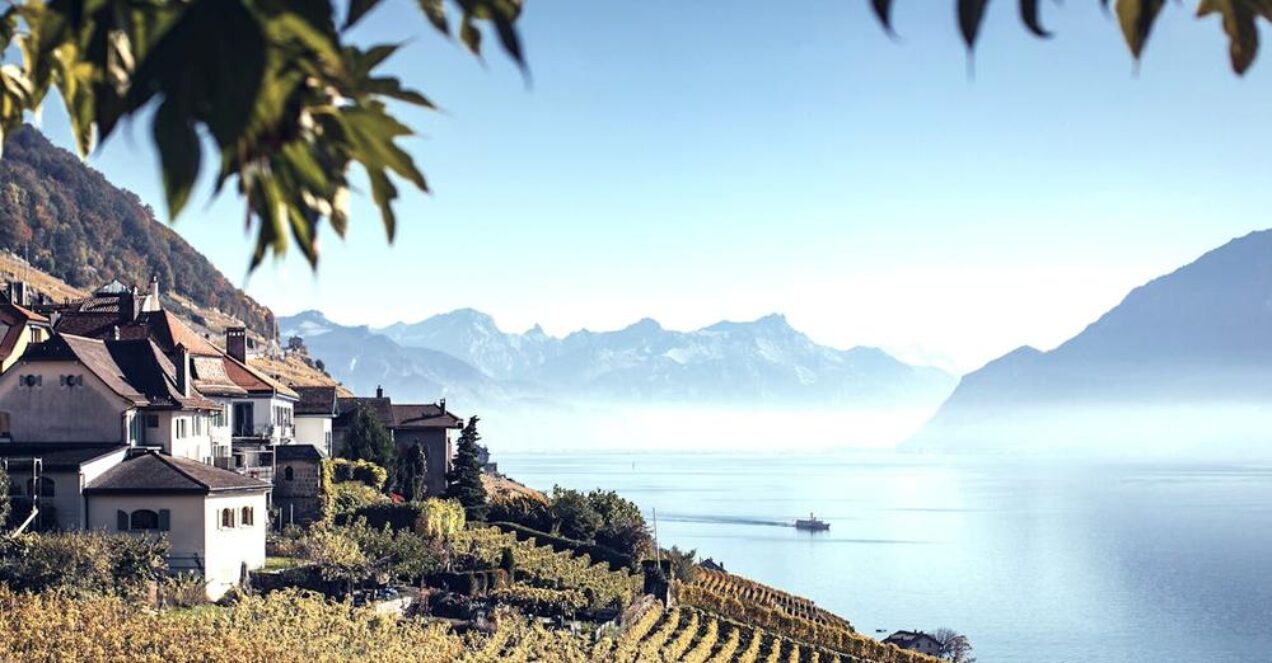 Page D accueil Les Vignobles Epesses Et Calamin Lavaux