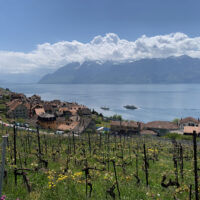 photo des vignes au printemps donnant la vue sur le village pittoresque d'Epesses et le lac Léman au cœur de Lavaux